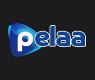 pelaa casino canada,Mais